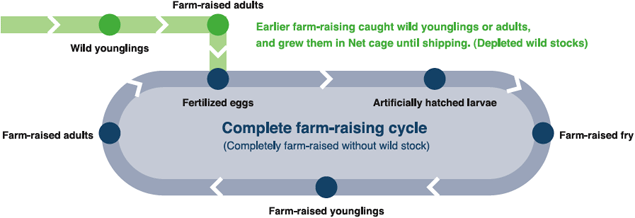 Complete farm-raising cycle